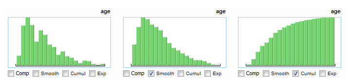 Different histogram types for a numerical attribute in intervals mode