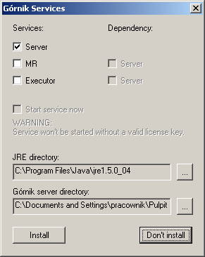 The installation of the Advanced Miner System, selecting the components to run as Windows services
