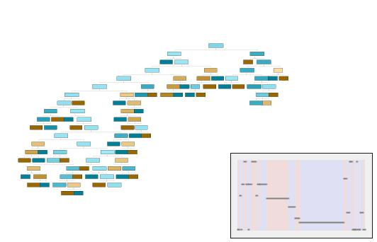 Full tree and its initial lift
