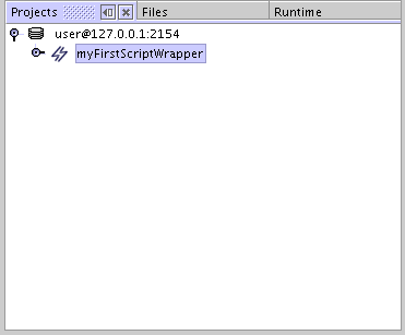The ScriptWrapper object in the Repository