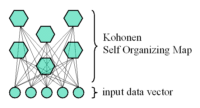 The structure of SOM