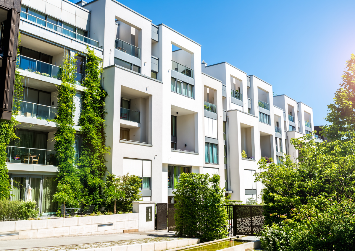 baza mieszkań algolytics grafika