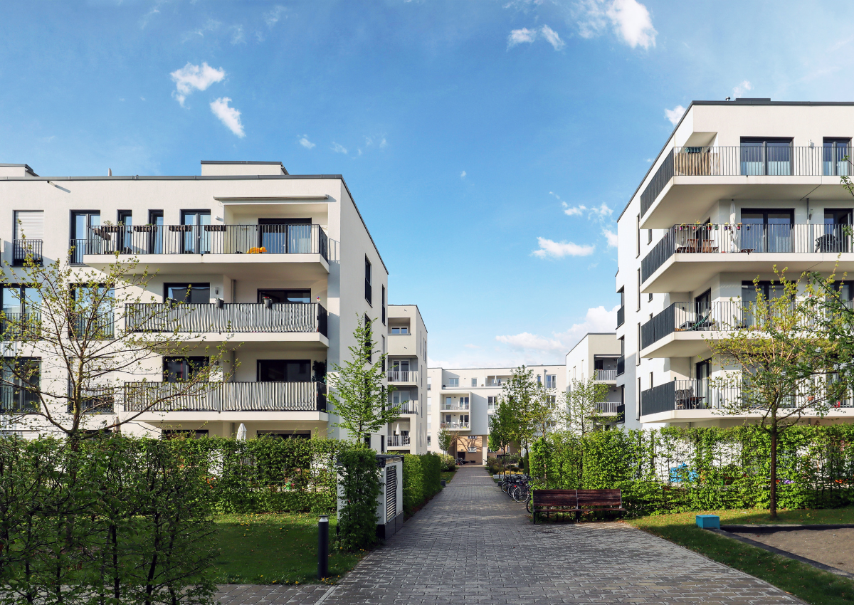 baza mieszkań algolytics 2